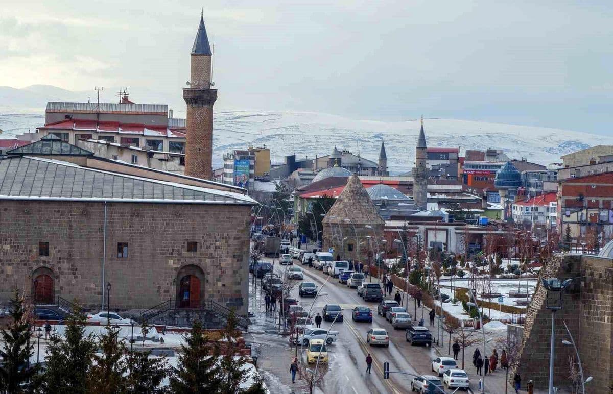 Erzurum'da göçün en büyük nedenleri aile ve eğitim